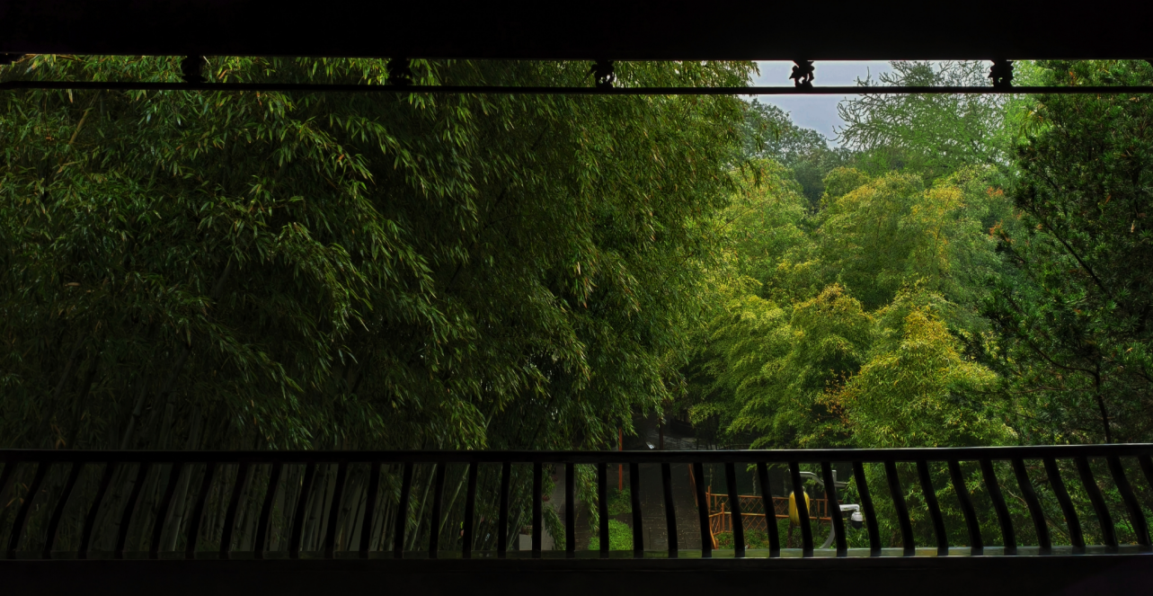 Cover Image of the Post